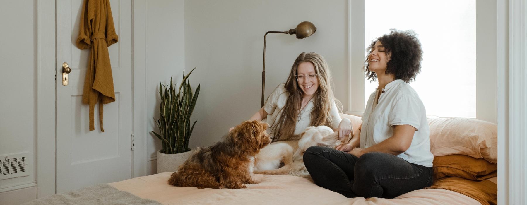 a person and a dog sitting on a bed