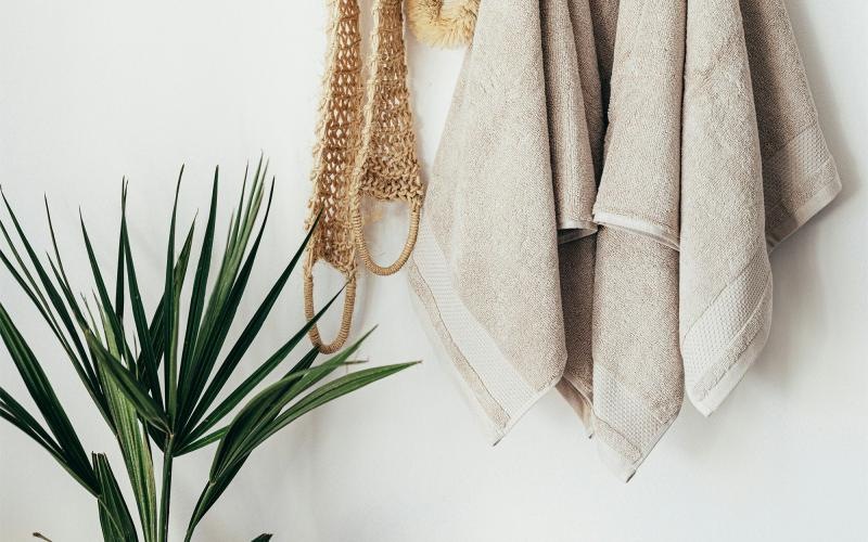 towels hanging on a wall near a plant