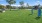 a grassy area with trees and a structure in the back