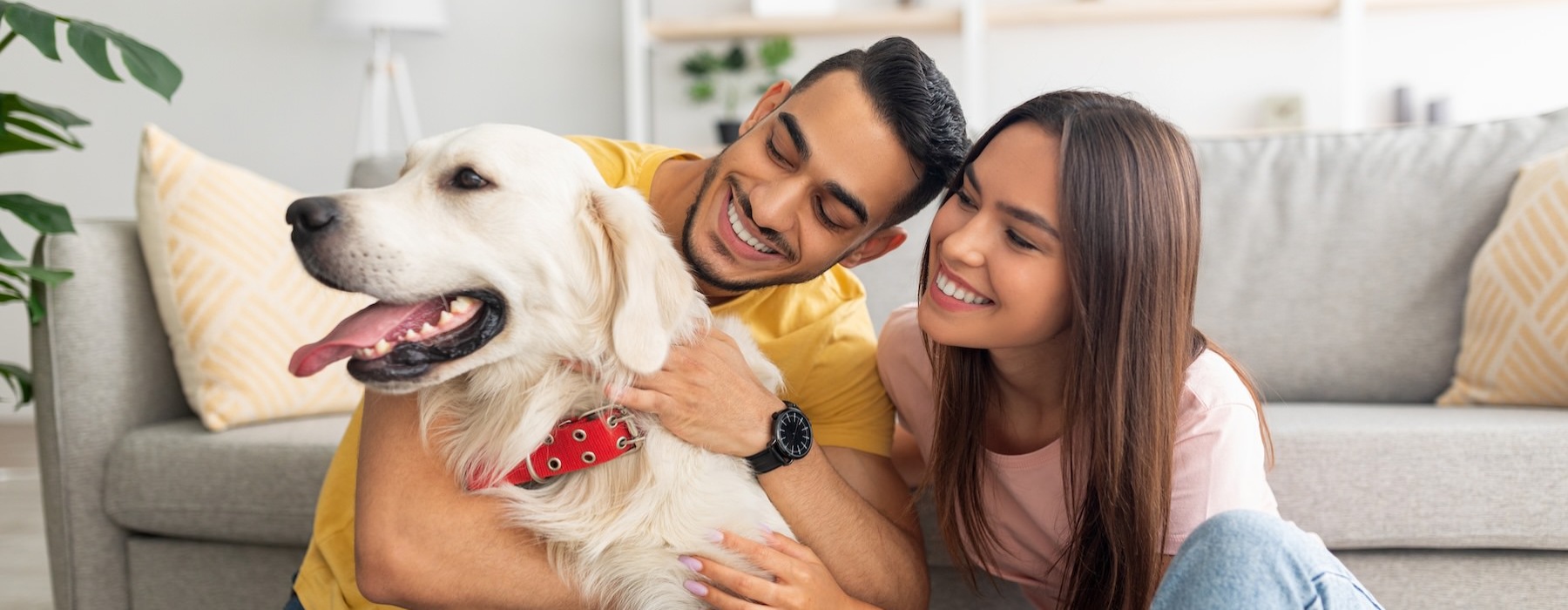 a couple with their pet dog