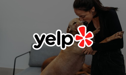 Yelp Reviews yelp logo